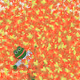 64606676951485645919293919225009101734346739307793536966178177467364853879418
