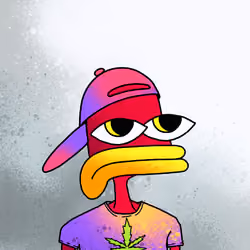 SupDuck 6547