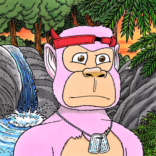 Jungle Freaks Genesis