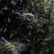 cloudburst V2