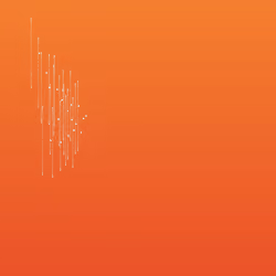 Quantum Murmurations 41