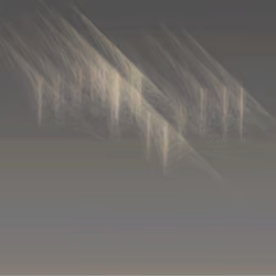 Quantum Murmurations 37