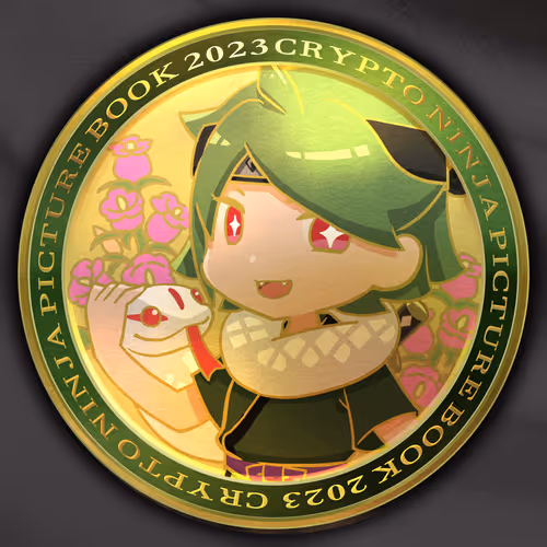 Crypto Ninja Picture Book