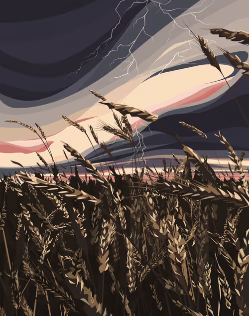HARVEST: DYLAN WADE