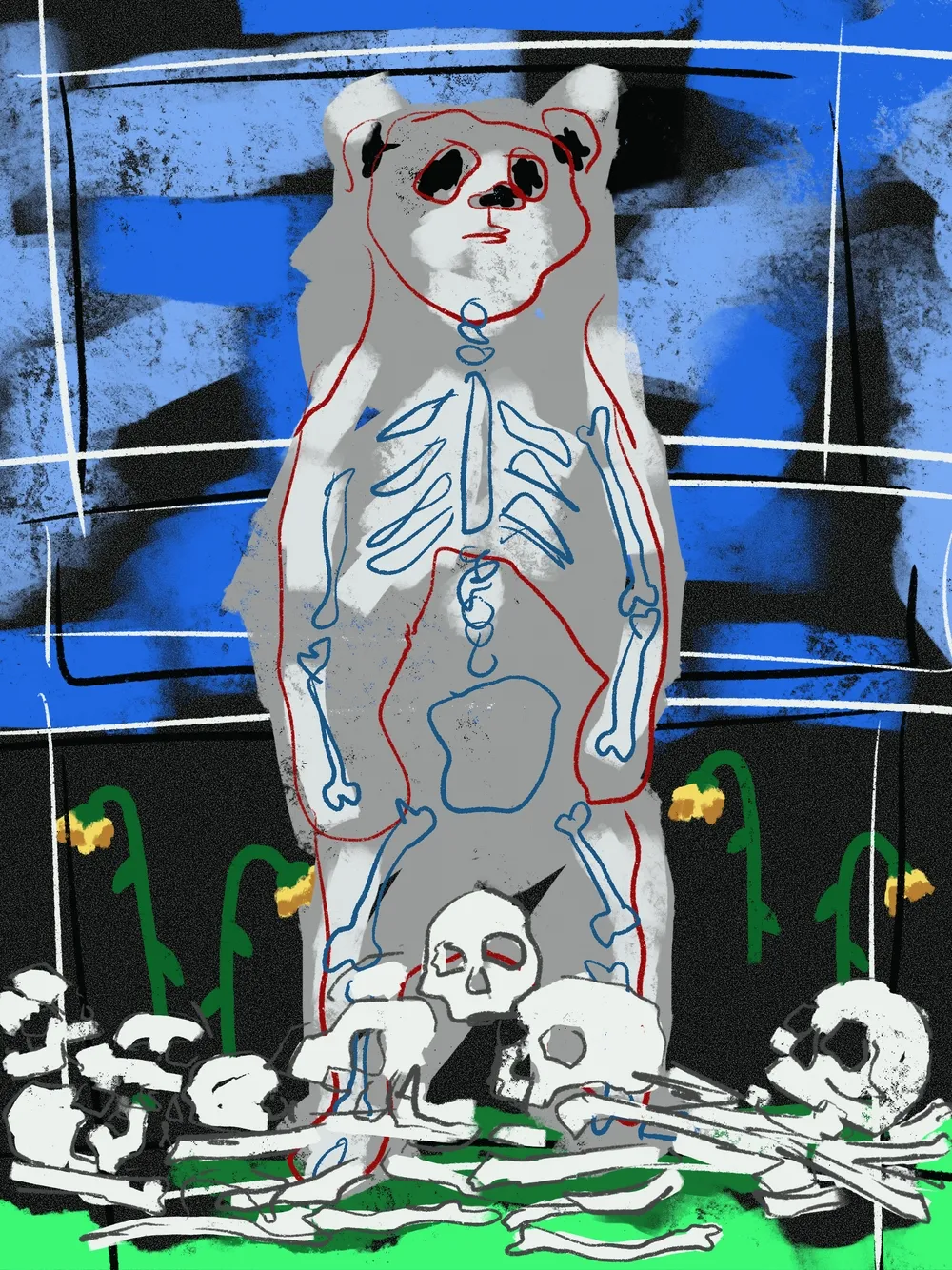 BEAR: MATT SZCZUR