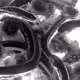 76