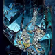 41