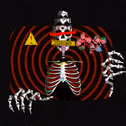 81