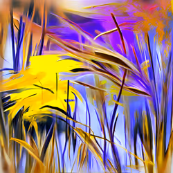 The Disagreeable Dandelion