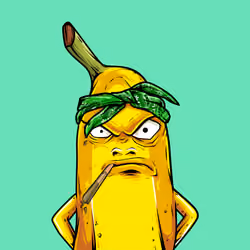 Mad Banana #5920
