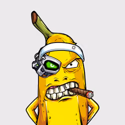 Mad Banana #2378