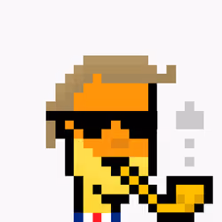 Donald Pump NFT #1306