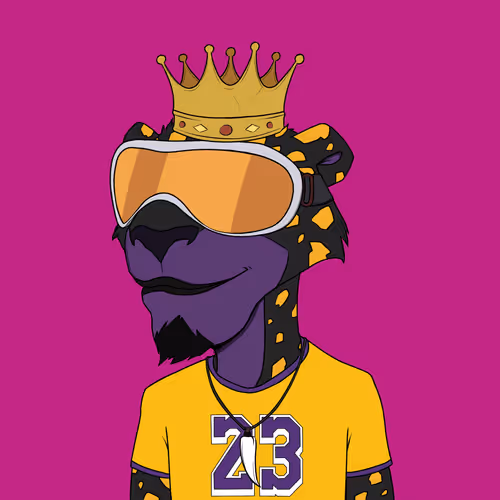 The Rich Jaguarz Collection