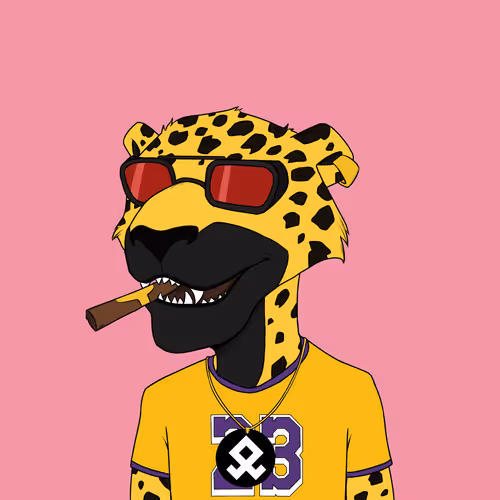 The Rich Jaguarz Collection