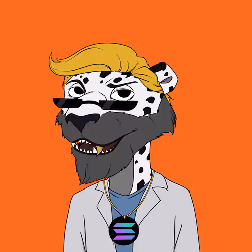The Rich Jaguarz Collection