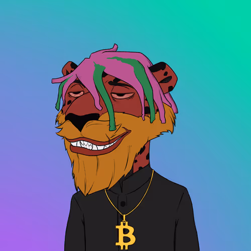 The Rich Jaguarz Collection