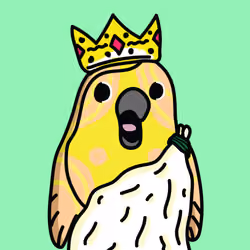 Lucky Parrot #2937