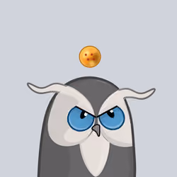 Owls Club #716