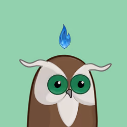 Owls Club #724