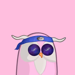 Owls Club #1012
