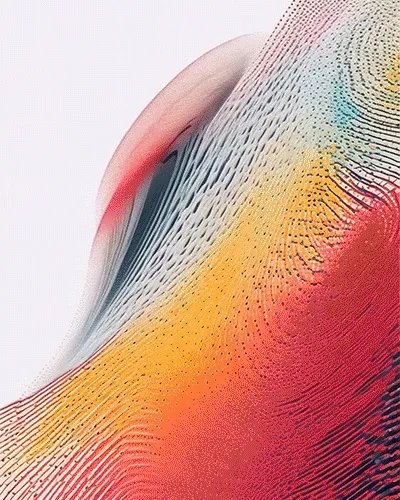 Singularity Of Art