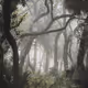 Un'Goro