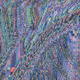 72