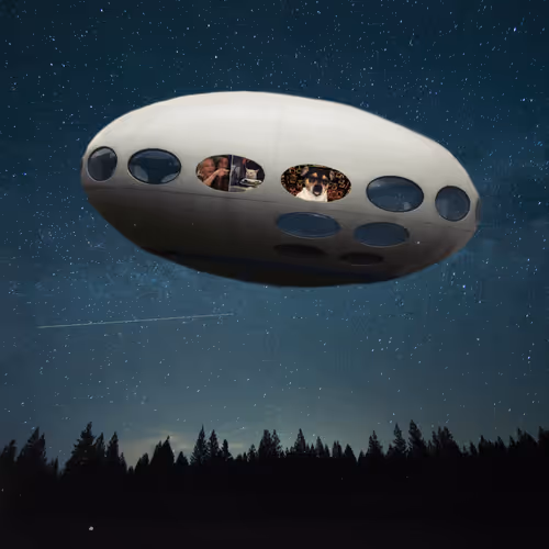 Beansmemes