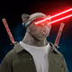 585