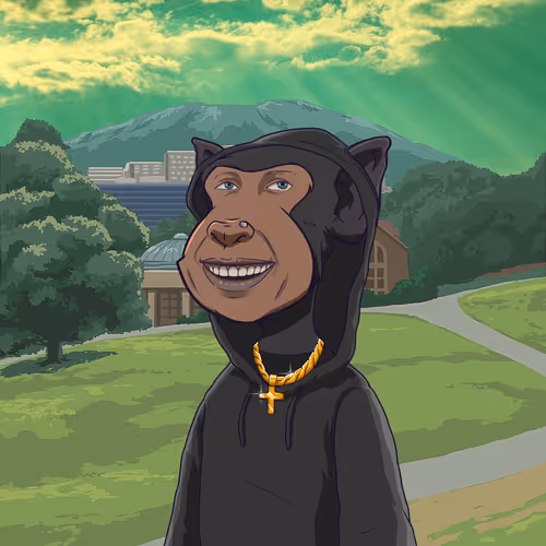The Bay Apes 3