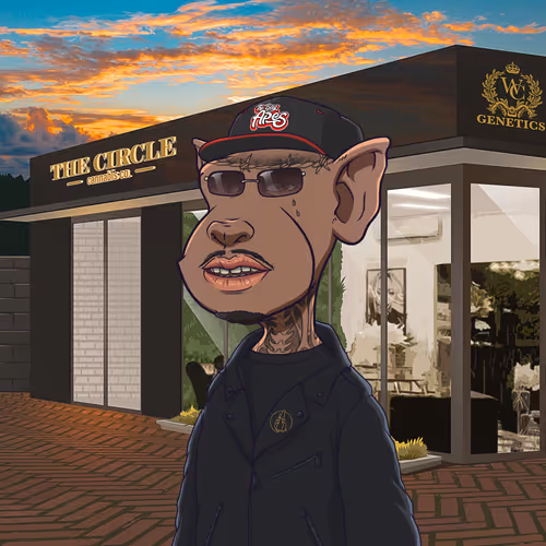 The Bay Apes 3