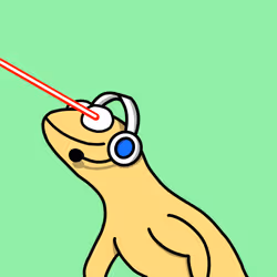 2251