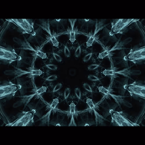 Item #701692094591935495866147556462692197990417905714856562058592258 Media