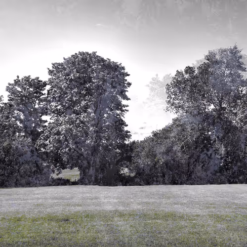 Item #664299399554237038555977758868644129149696174332184308465270785 Media