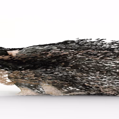 Item #658455417838592038764846638915637791716304881413388292333764684 Media