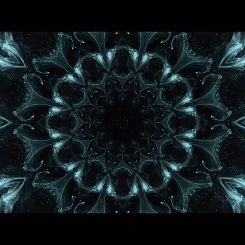 Item #701673263286729335823856049094422574991169598648523169955053570 Media