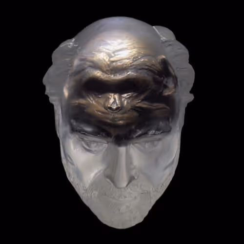 Item #659139621927749186968104739962767427355660038156834872095670301 Media