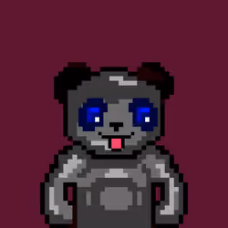 HELLPANDAS #5