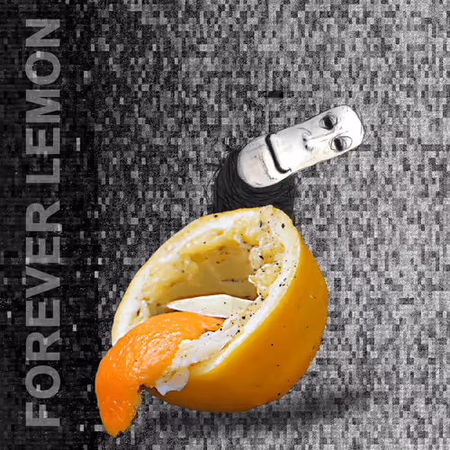 Item #73 Media