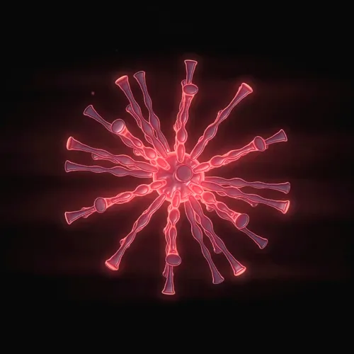 25