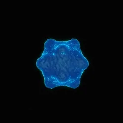 VIRUS #02