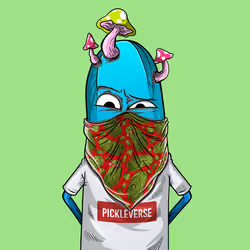The Pickleverse #348