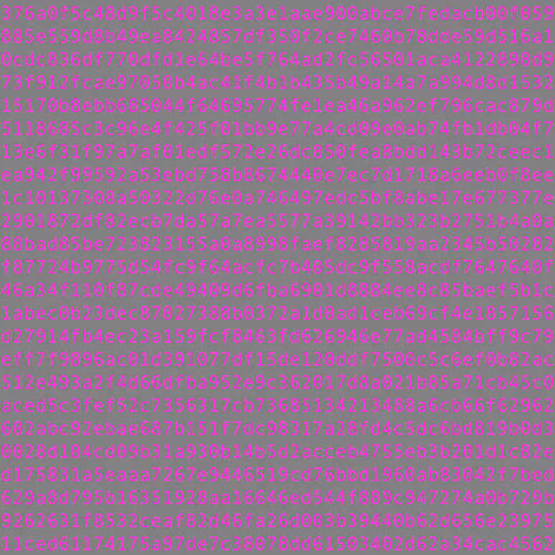 1111 #0204