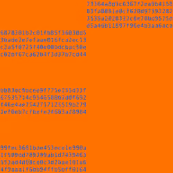 1111 #0048