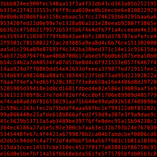 1111 #0041