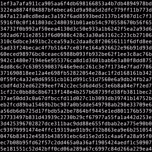 1111 #0495