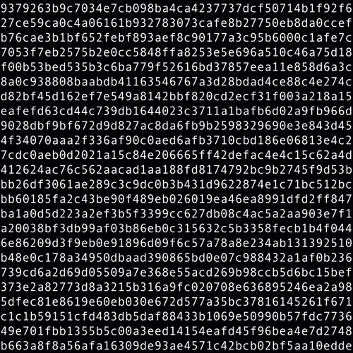 1111 #0295