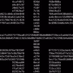 1111 #0320
