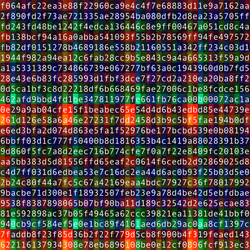 1111 #1031