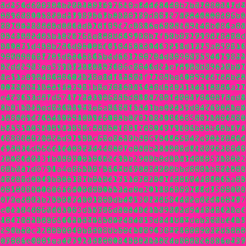 1111 #0069